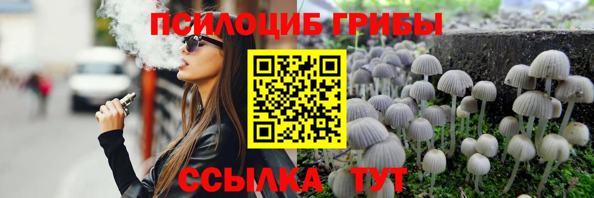 Псилоцибиновые грибы GOLDEN TEACHER Лесозаводск