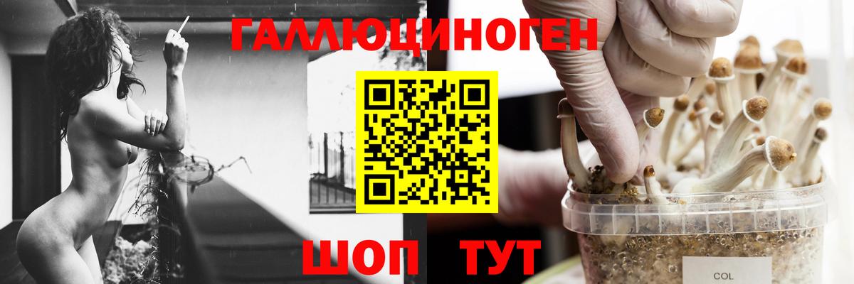Меф кристаллы  МАРИХУАНА  Лесозаводск  Вход с VPN  Кокаин 